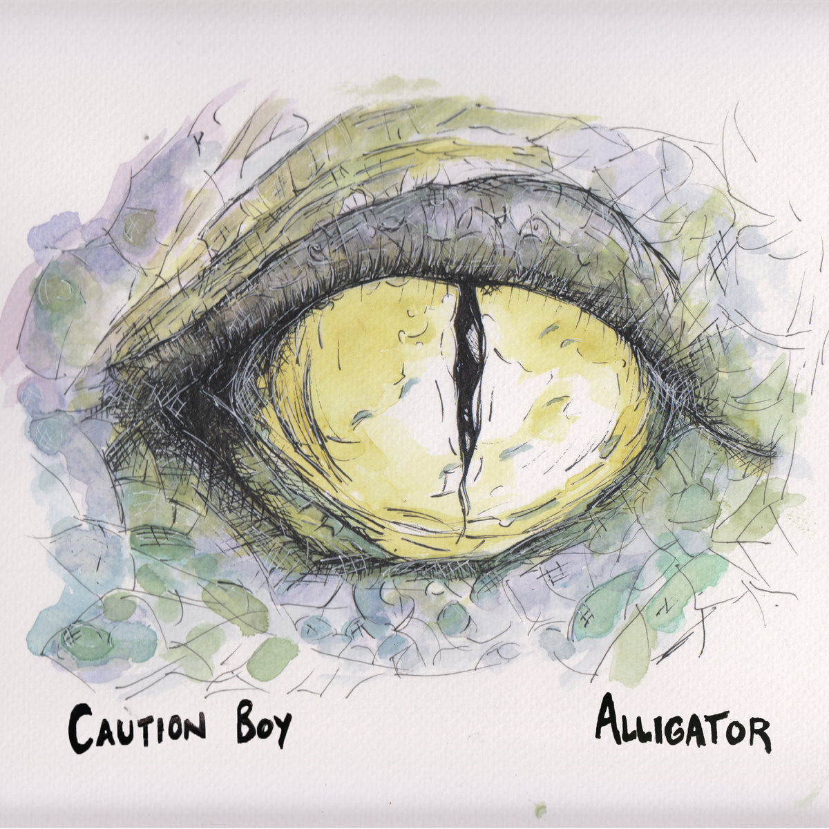 caution boy alligator